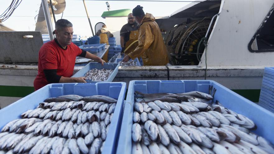 El PPCS defiende la pesca como empleo y bienestar