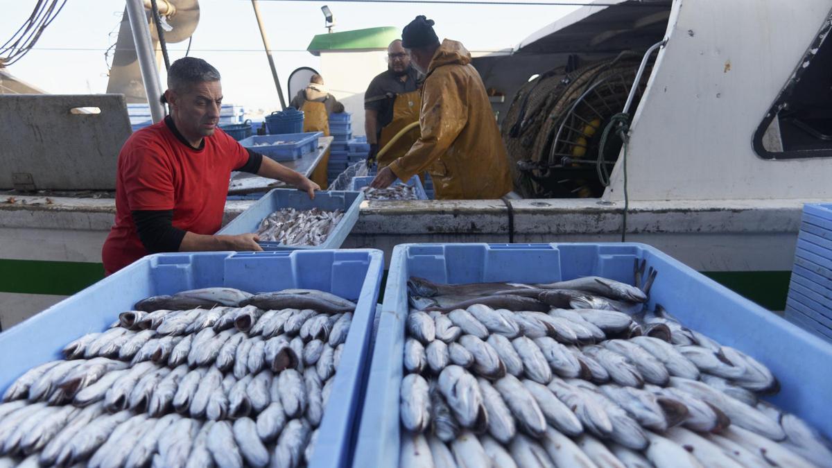 Imagen de archivo de trabajadores de una embarcación de arrastre descargan pescado en la lonja del Grau.