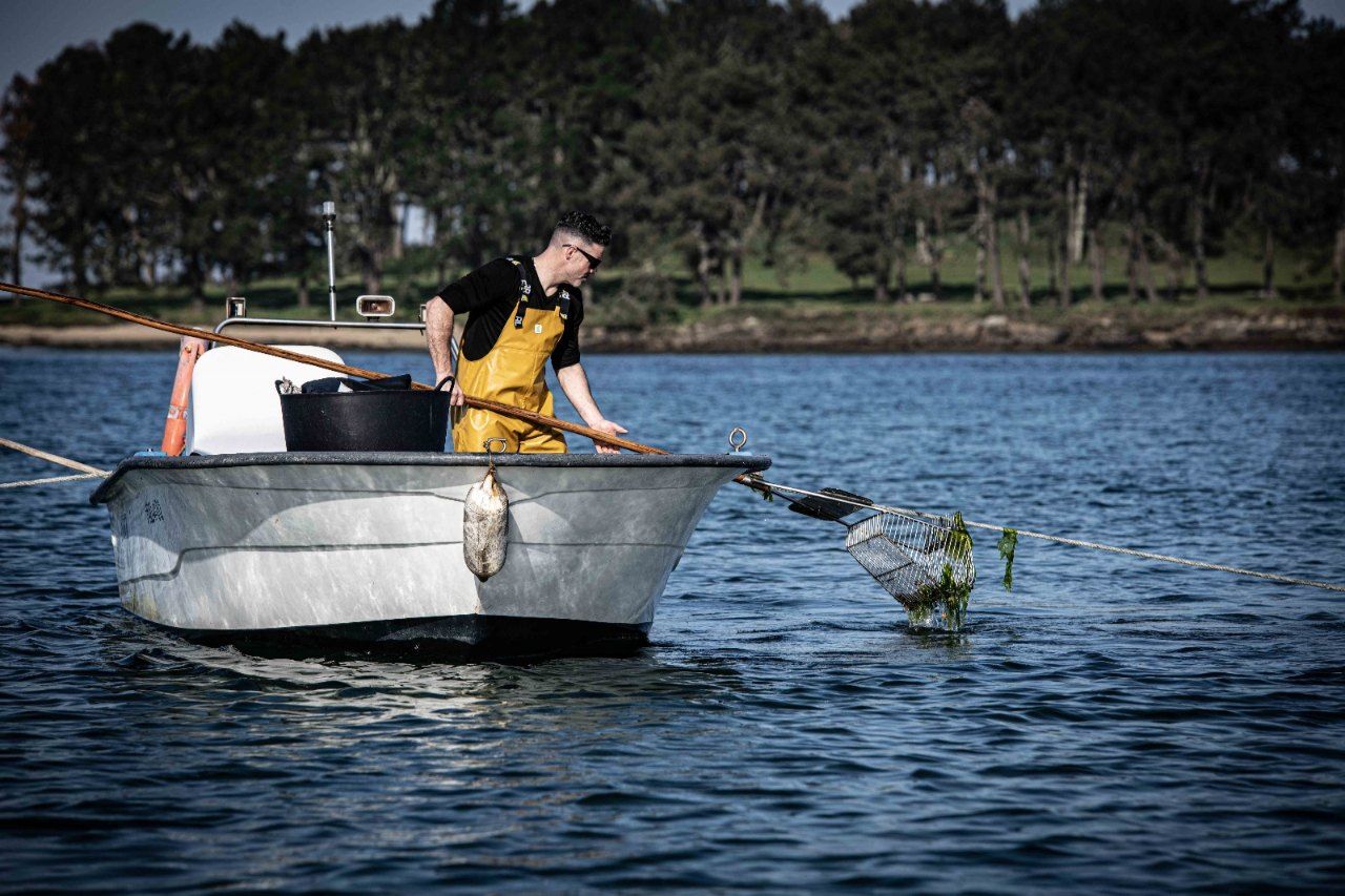 Mariscadores a flote (rañeiros) en el entorno de A Toxa (O Grove).