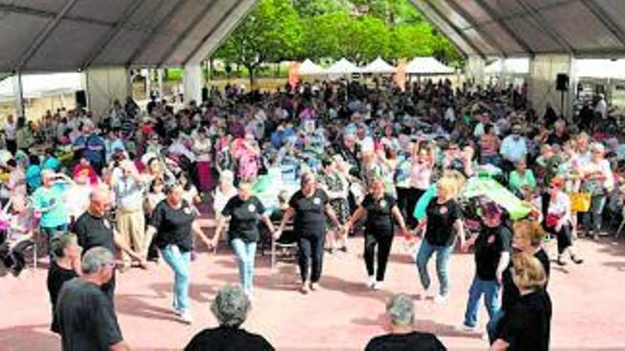 Piera acull la 35a edició de la Diada de Puntaires i aplega més de 650 persones | AJUNTAMENT DE PIERA