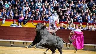 El quiebro vuelve a mandar en Castellón de la mano de Adrián Pérez