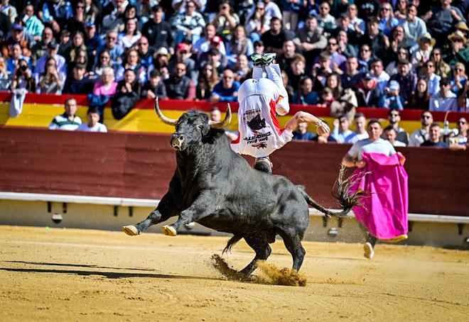 Concurso recortadores