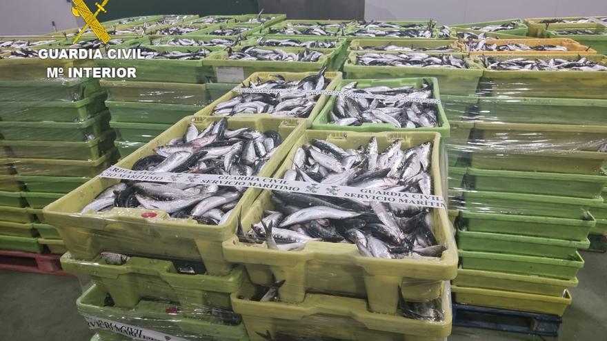 La Guardia Civil interviene más de 5.000 kilos de sardinas en Camariñas
