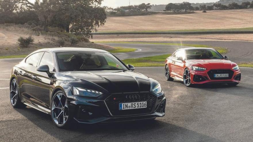 Audi Competition Plus, accent sensitiu