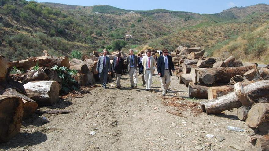 Construirán una réplica del bergantín Galveztown