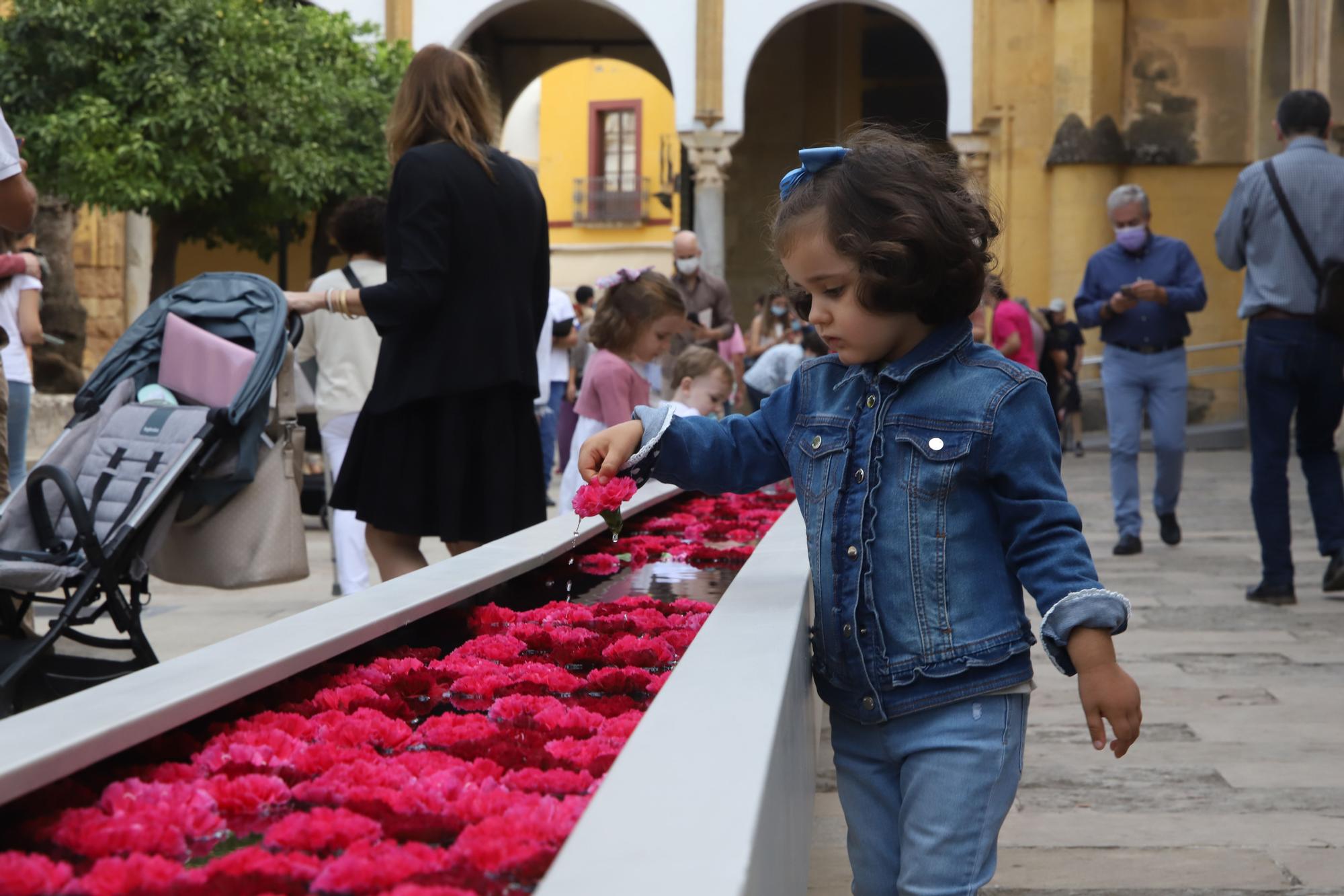 Los patios de otoño y Flora animan el fin de semana en Córdoba