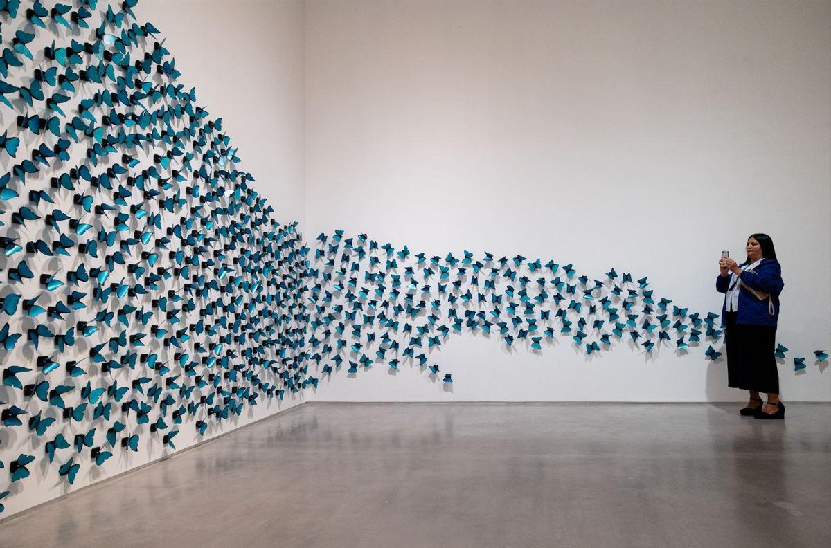 Exposición de Soledad Sevilla en el Reina Sofía actualmente