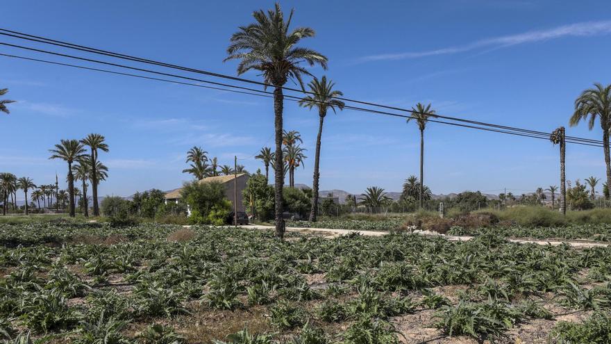 Urbanismo activa la legalización de cinco viviendas en el Camp d’Elx pero aún hay un centenar de peticiones atascadas