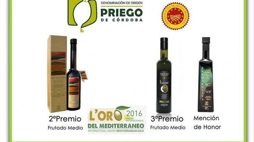 L&#039;Oro del Mediterráneo reconoce la excelencia de los AOVE de la DOP Priego de Córdoba