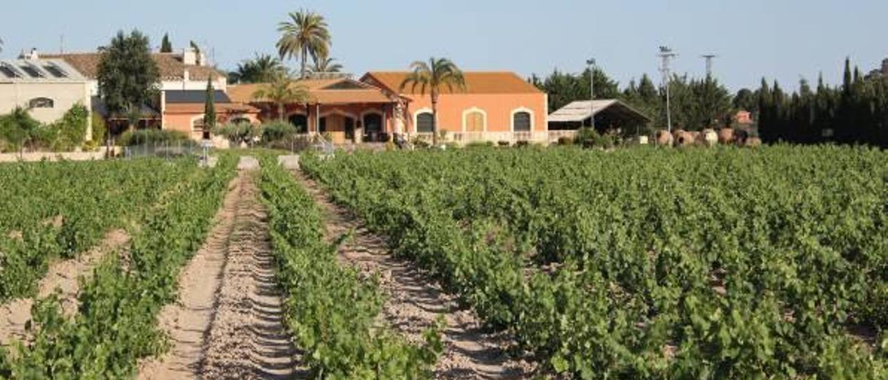 La finca cuenta con una casa de labor del siglo XVIII.