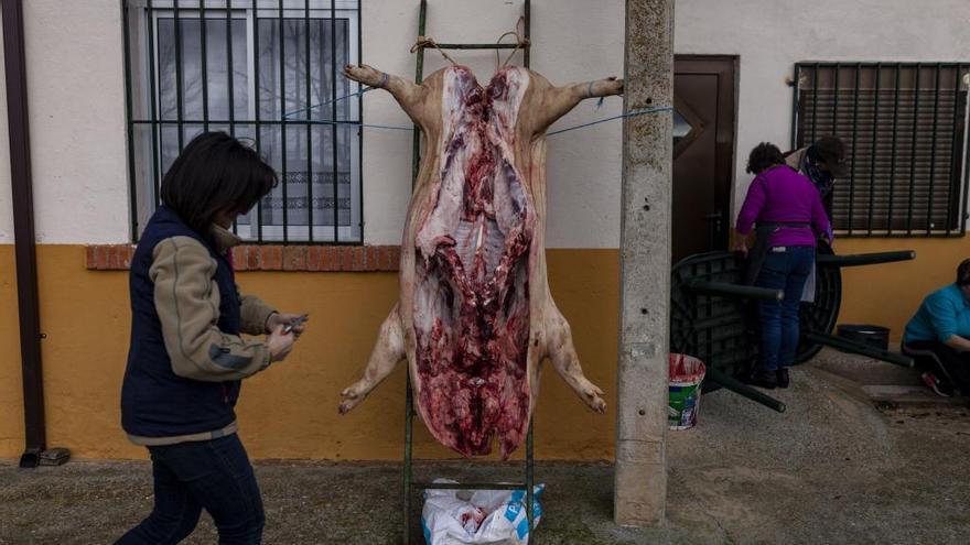 Una matanza tradicional en una imagen de archivo tomada antes del inicio de la pandemia.