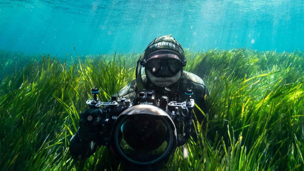 Fotografía submarina.