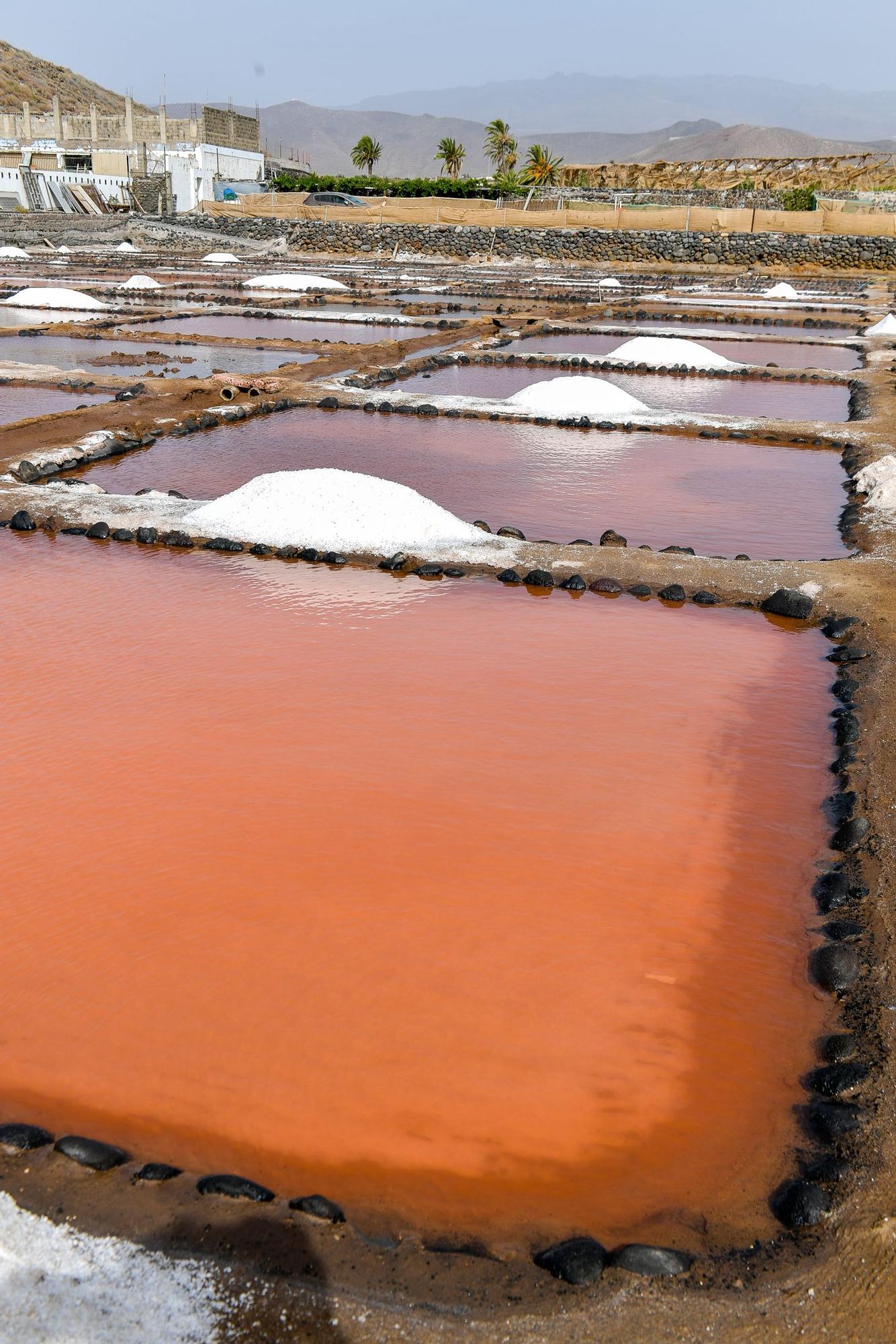 Salinas de Vargas