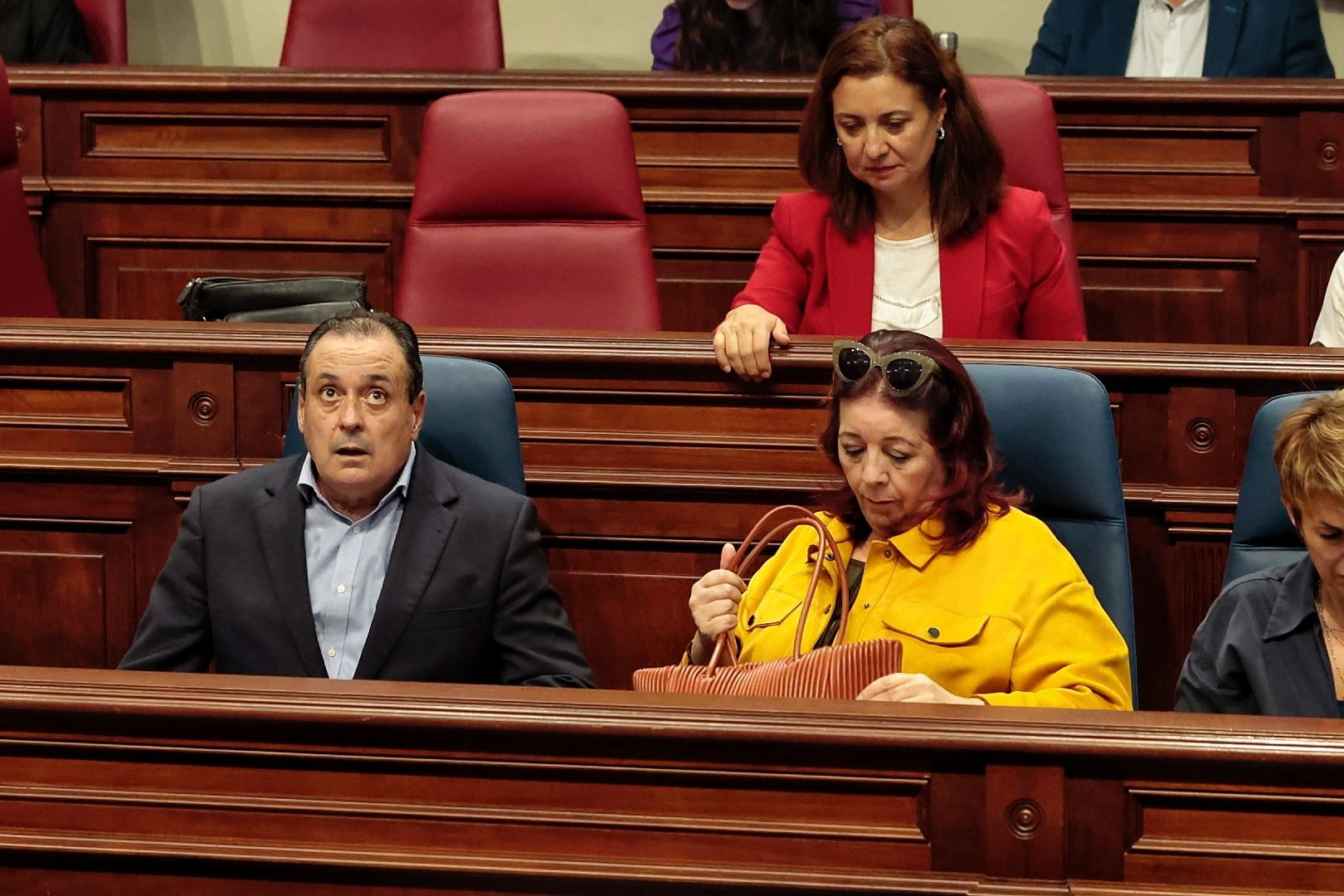 Pleno en el Parlamento de Canarias (12/12/22)