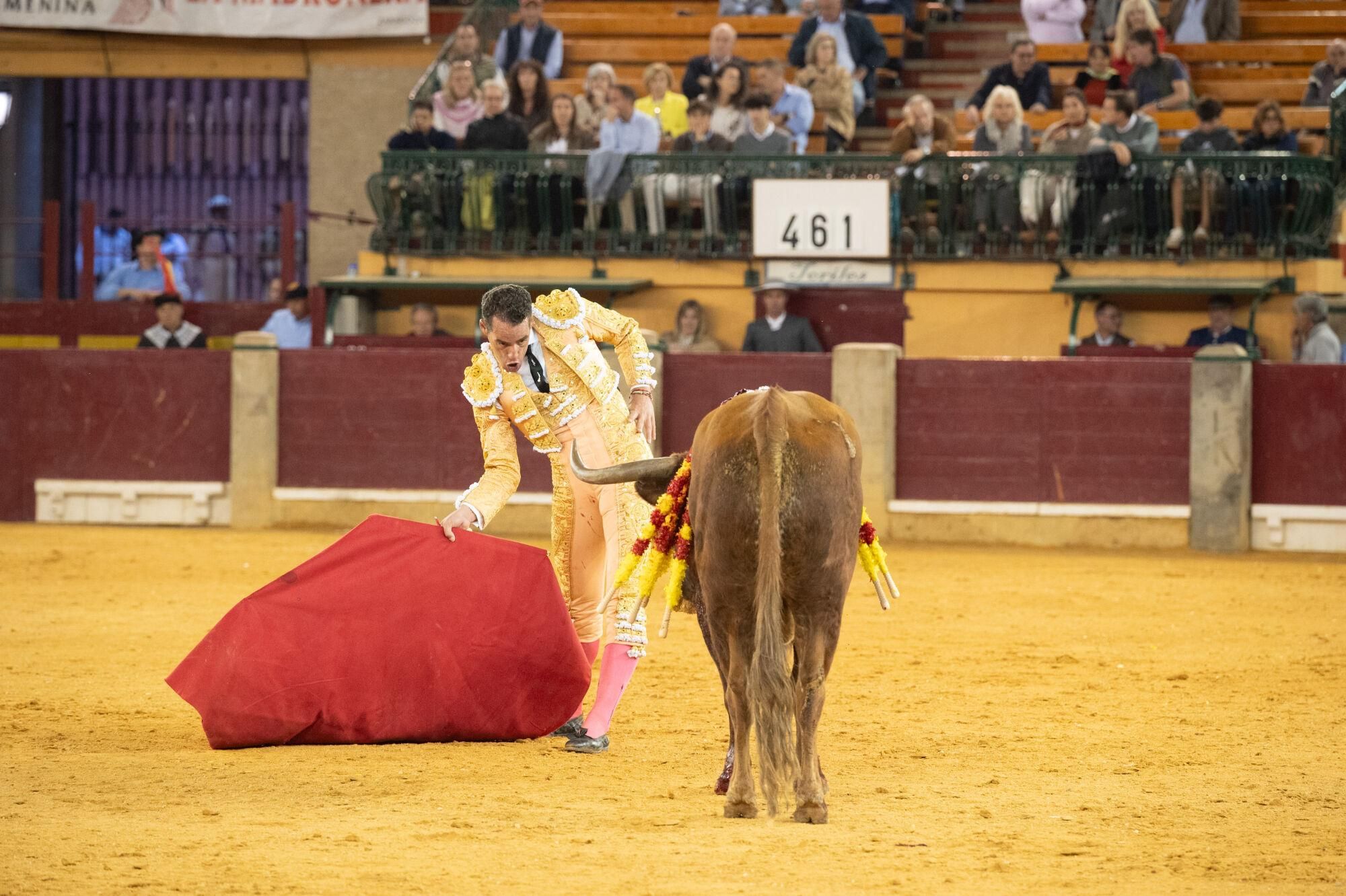 Concurso de ganaderías de la Feria del Pilar