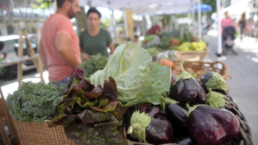 Varias verduras expuestas para la venta.