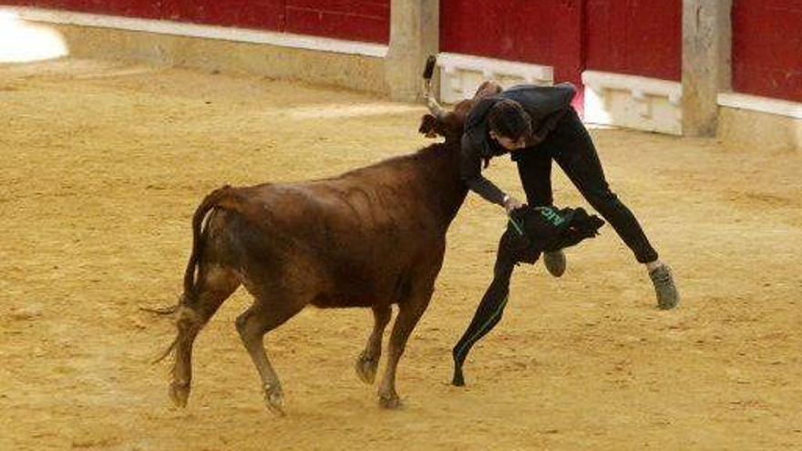 Cruz Roja atiende en las vaquillas a 13 personas, 6 trasladadas a hospitales