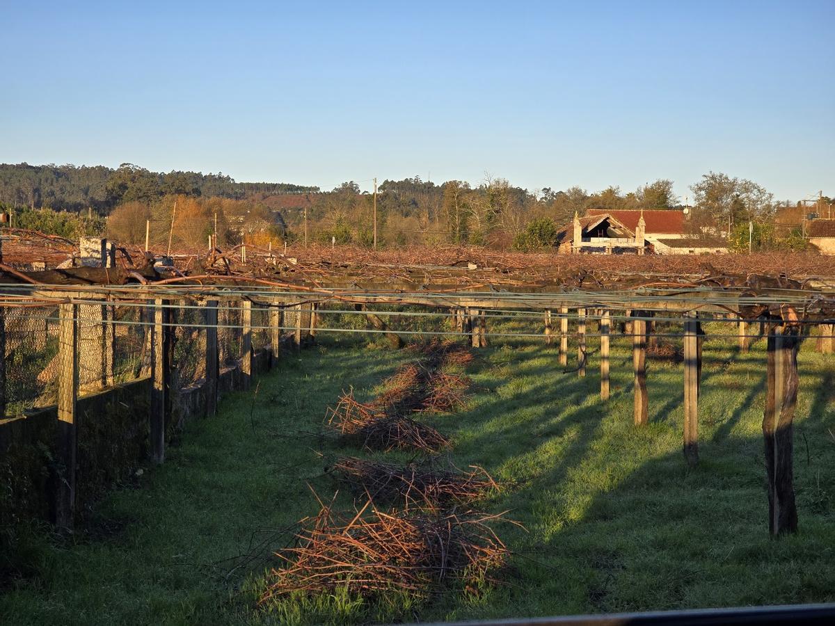 Restos de madera acumulados en el suelo.