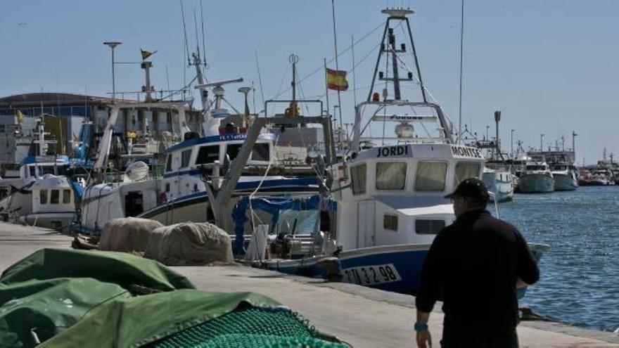 Pescado de temporada más sostenible