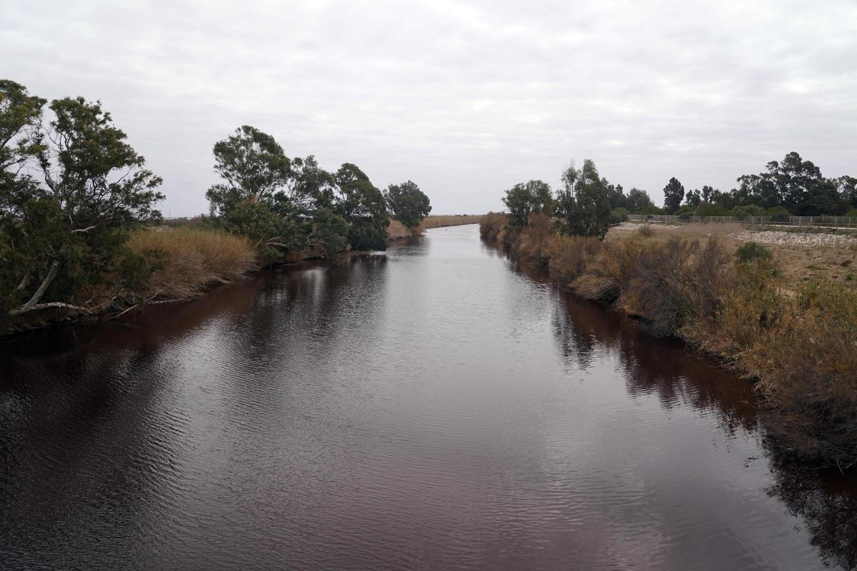Desembocadura del Guadalhorce.