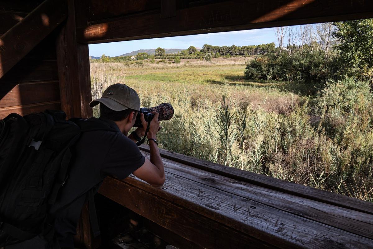 La albufera de Gaianes pasa a la historia tras meses de sequía