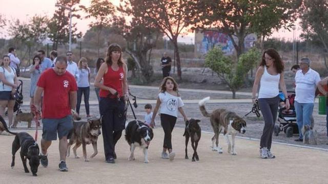 30 euros por cada perro de Alicante