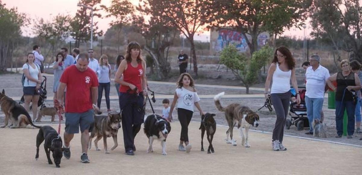 30 euros por cada perro de Alicante