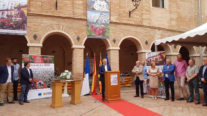 Olona apoya crear una figura para proteger la cereza de Calatayud