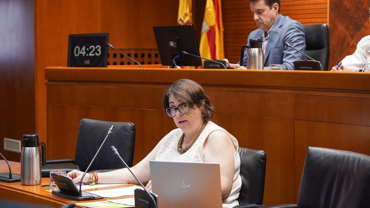 Arancha Simón, este lunes en las Cortes de Aragón.