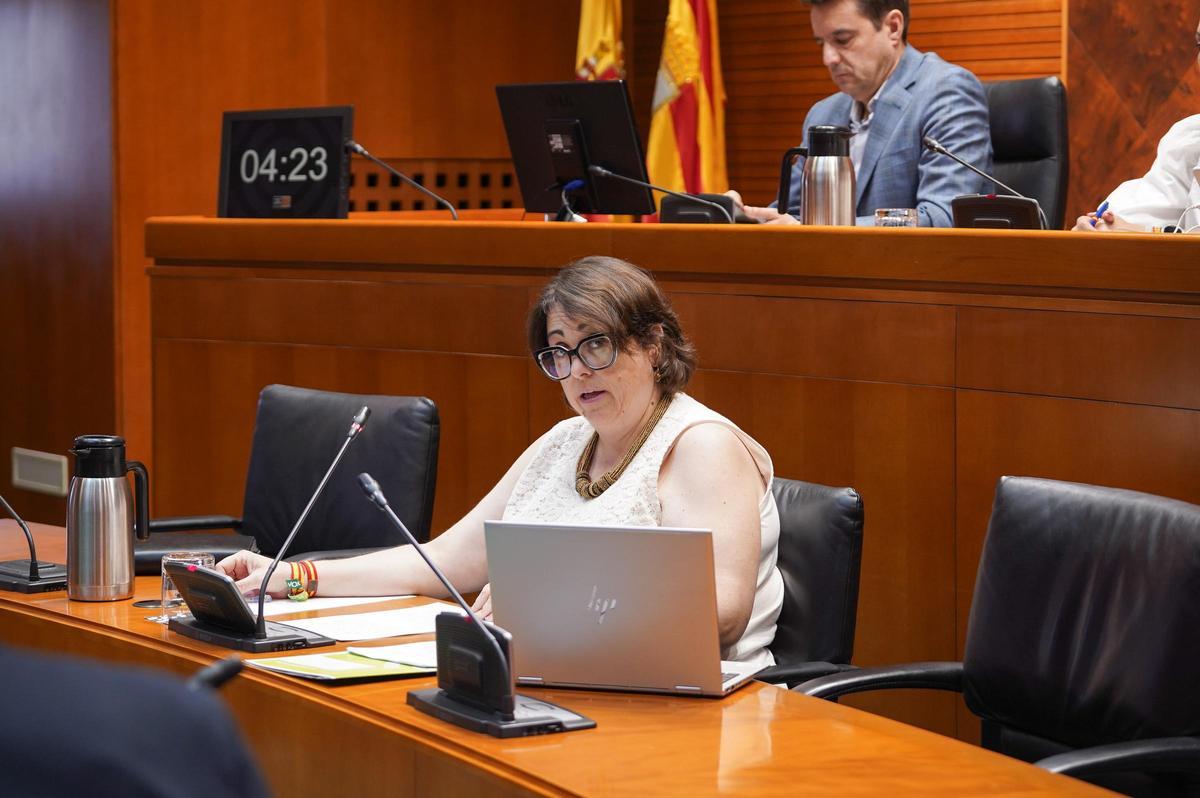 Arancha Simón, este lunes en las Cortes de Aragón.
