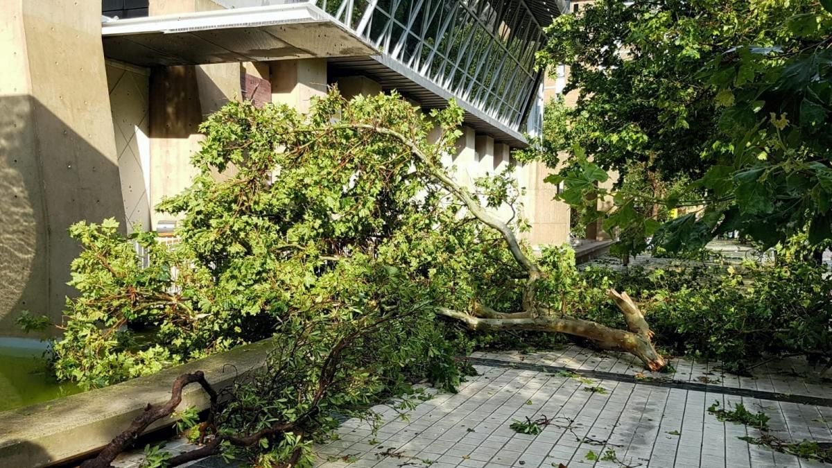 Consecuencias de la tormenta en Zaragoza