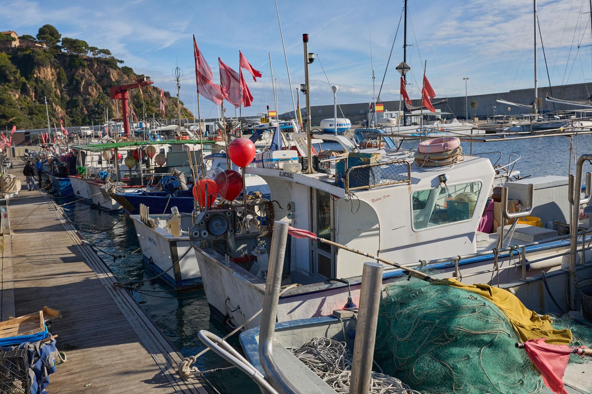 L'aturada de pescadors de Blanes, en imatges