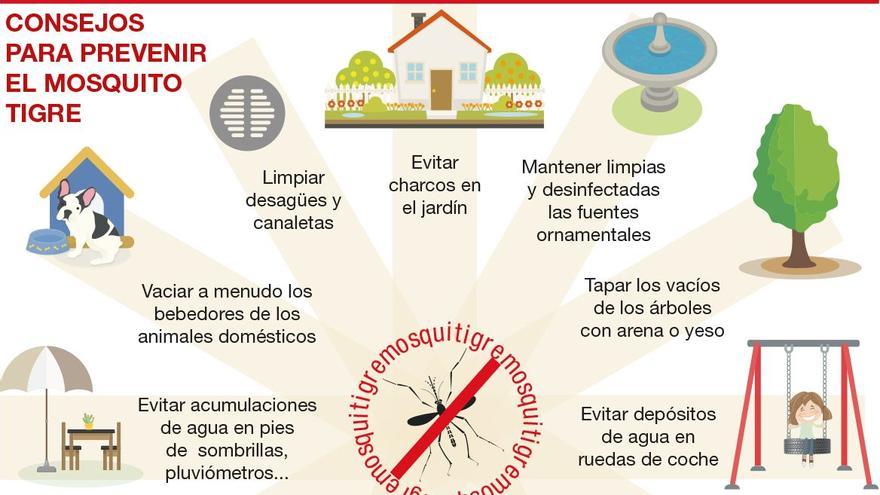 Gráfico con consejos para prevenir el mosquito tigre.