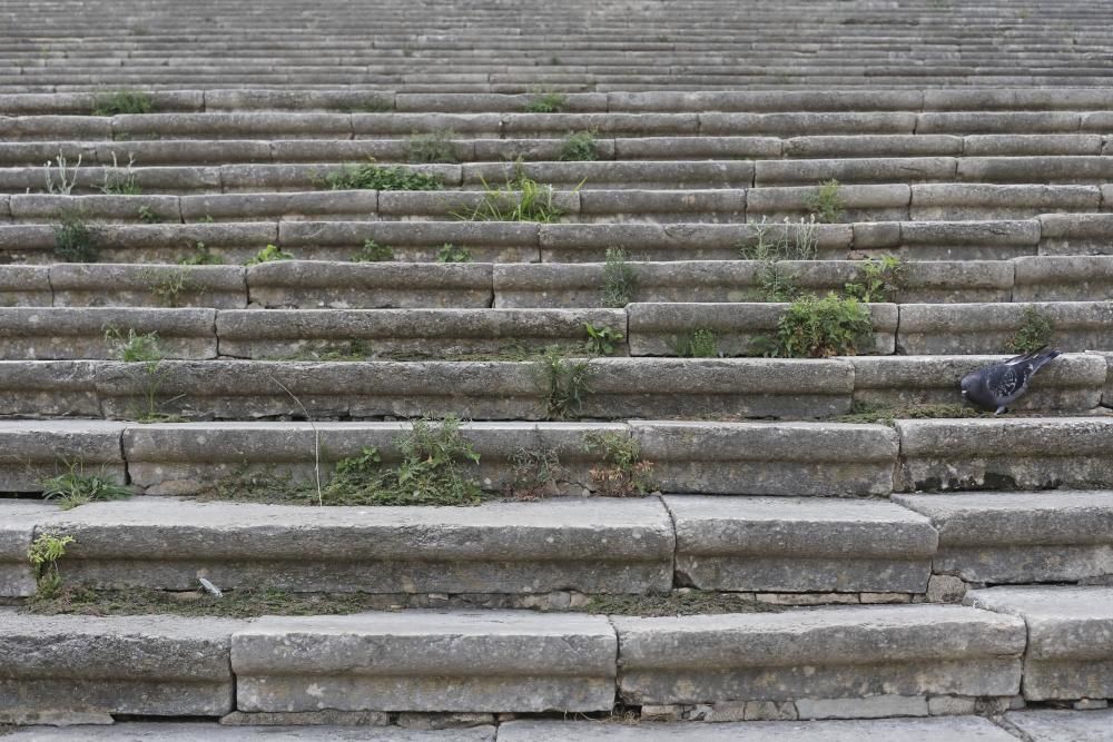 Males herbes a l'escalinata de la Catedral de Girona