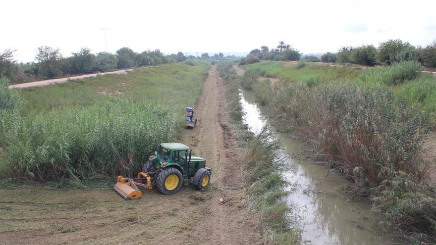 La CHS limpia el cauce del río en Guardamar y Molins