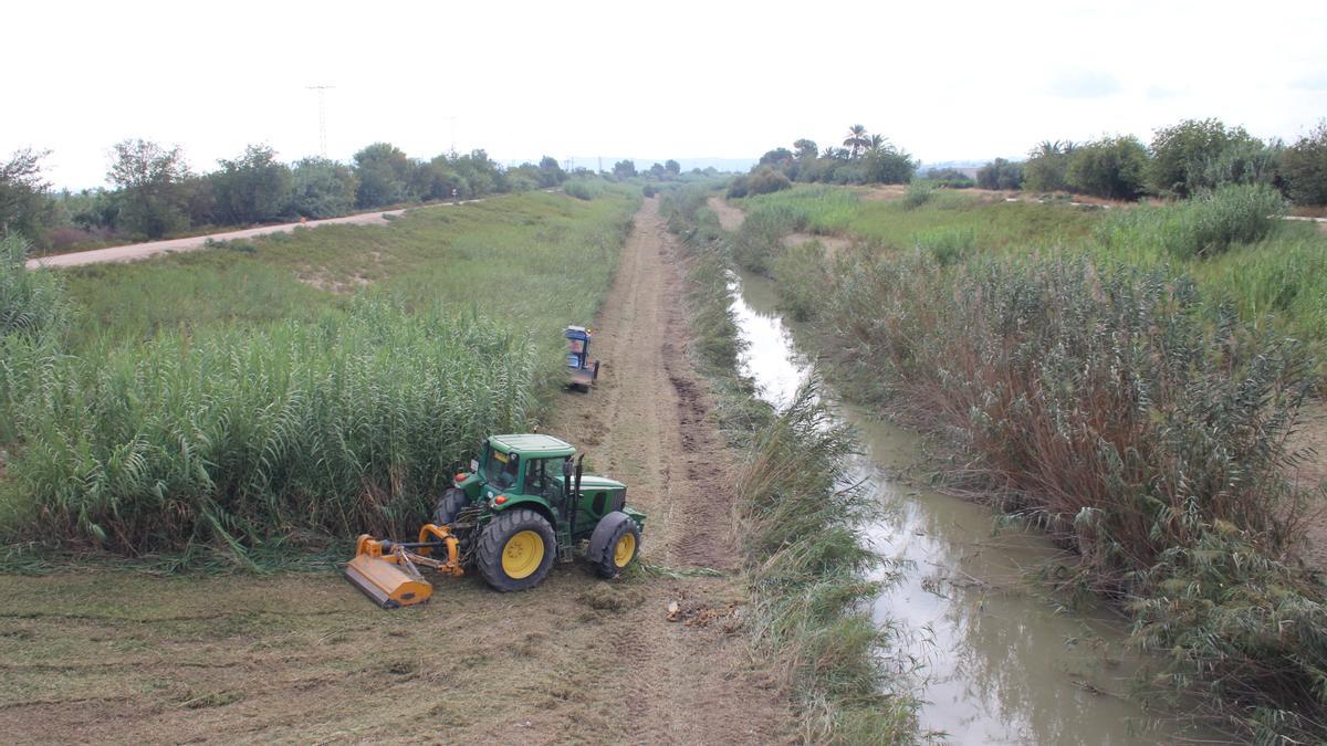 Trabajos de mantenimiento en el cauce del Segura a su paso por Molins