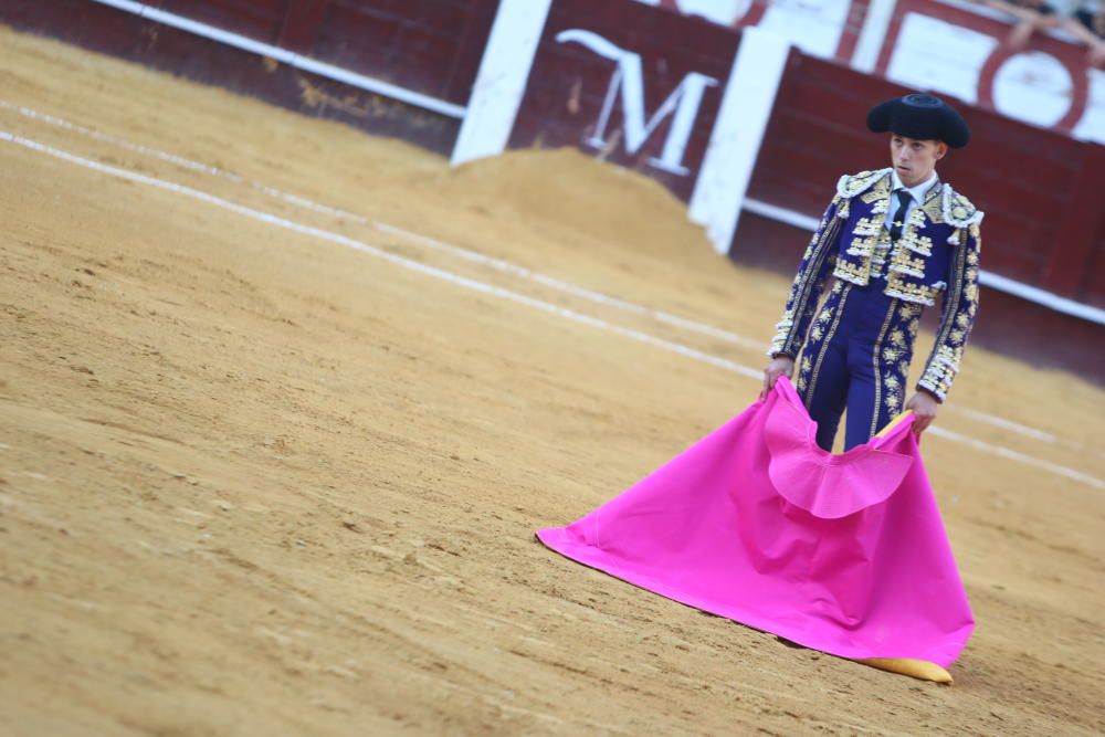 Toros | Novillada de la Feria Taurina de 2018