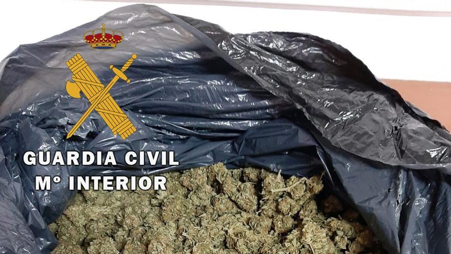 Archivo - Cogollos de marihuana intervenidos en una imagen de archivo