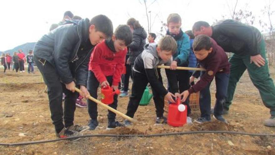 Los escolares de la Llosa celebran el Día del Árbol