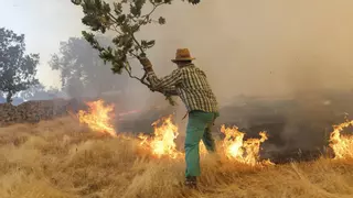 Dos heridos y 1.500 evacuados en los incendios que afectan a Salamanca