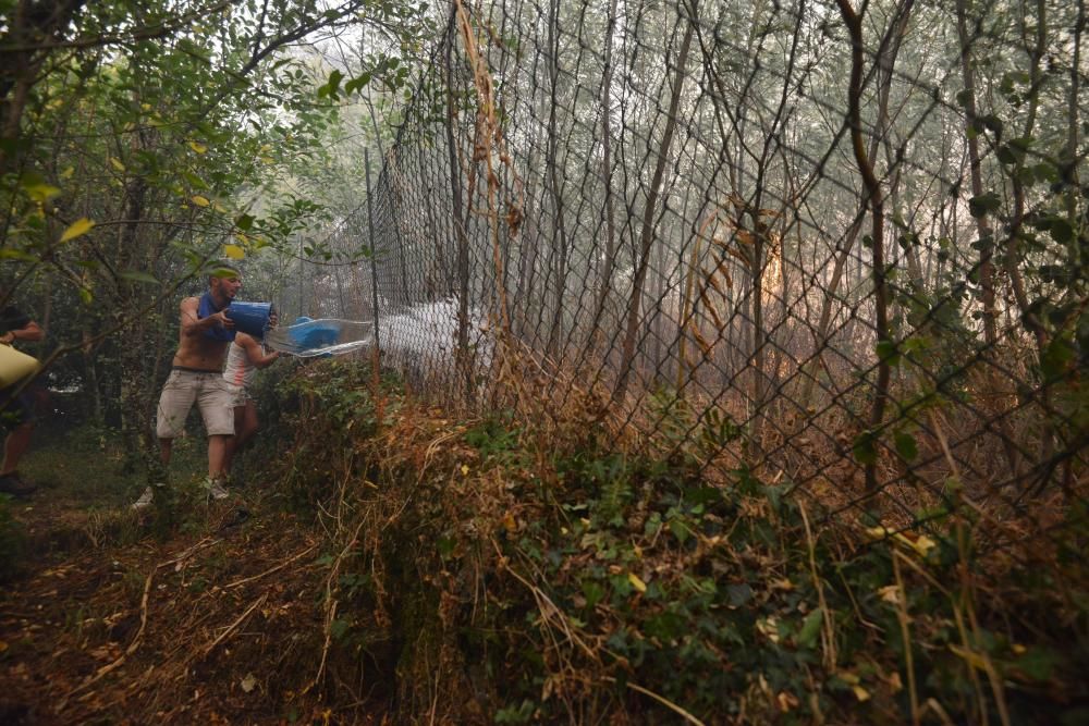 Incendio forestal en Cotobade