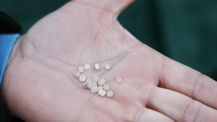 La UMU encuentra una solución para eliminar los microplásticos que contaminan el agua