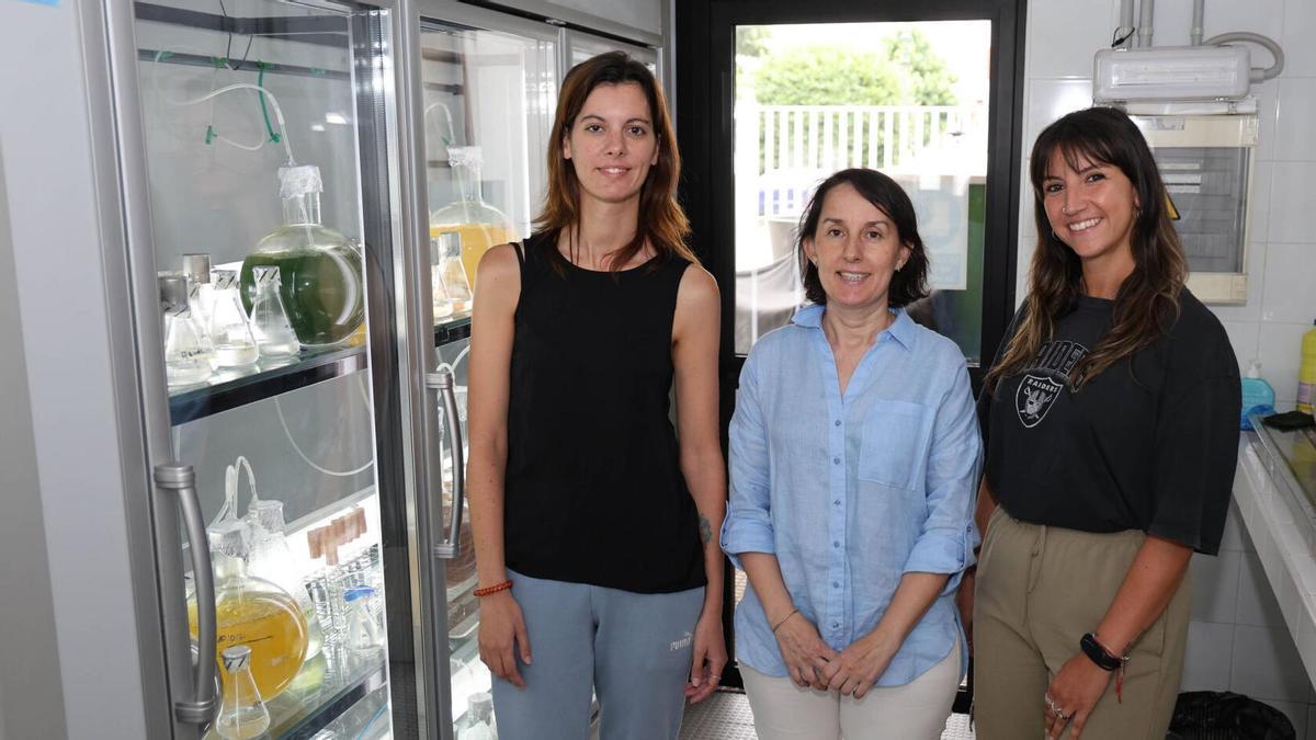De izquierda a derecha: Andrea Crespo, Patricia López e Ingrid Fernández, investigadoras del grupo de Química de Productos Marinos (QPM) del IIM-CSIC.