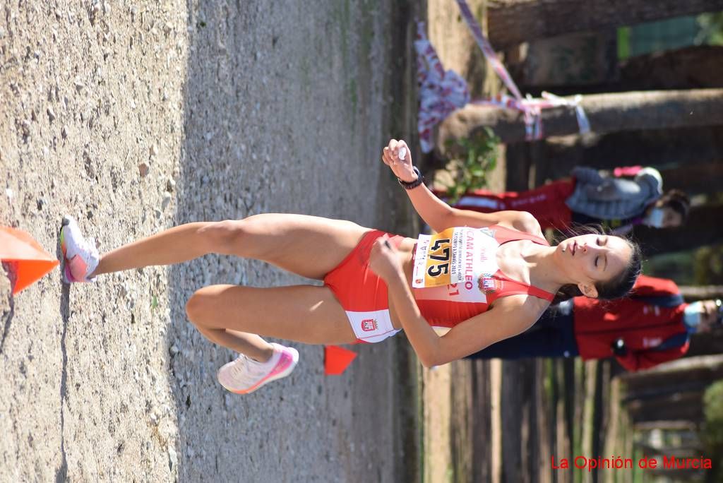 Copa de clubes de cross (I)