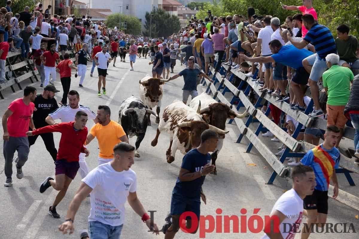 Primer encierro de la Feria del Arroz de Calasparra