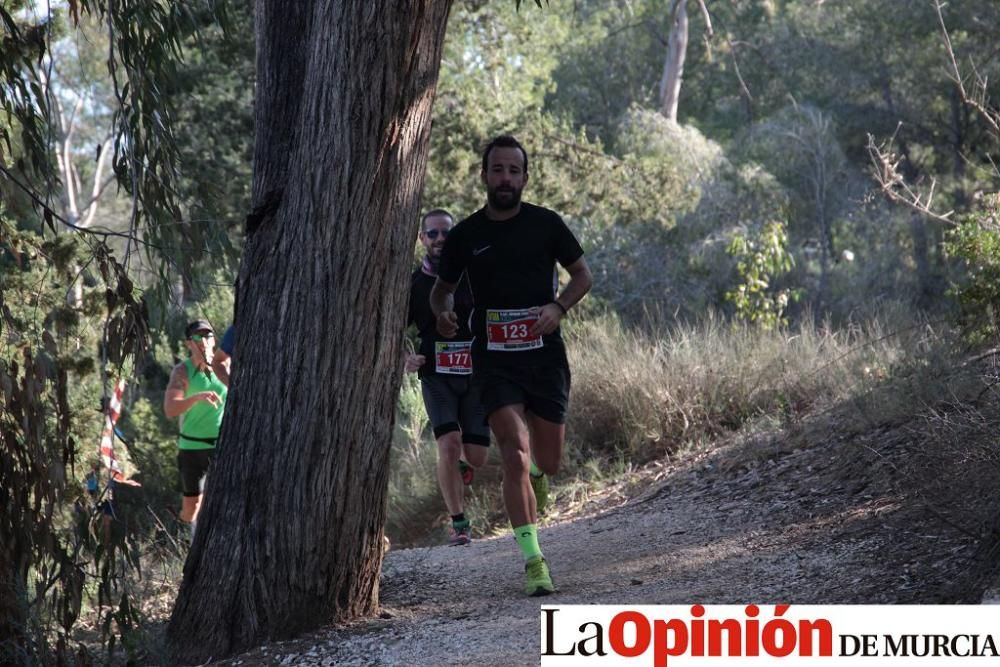 San Jorge Dragon en La Alcayna