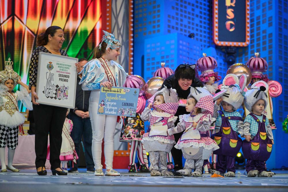 Fotos de los ganadores y de todos los participantes en el Concurso de Disfraces del Carnaval de Santa Cruz de Tenerife.  | 16/02/2020 | Fotógrafo: Andrés Gutiérrez Taberne