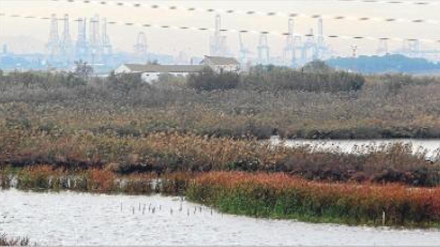 Valencia pide agua del Júcar para la Albufera al quedarse 38 cm por debajo de su nivel