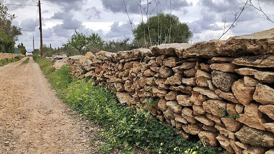 Un muro de piedra seca en Formentera. | CF