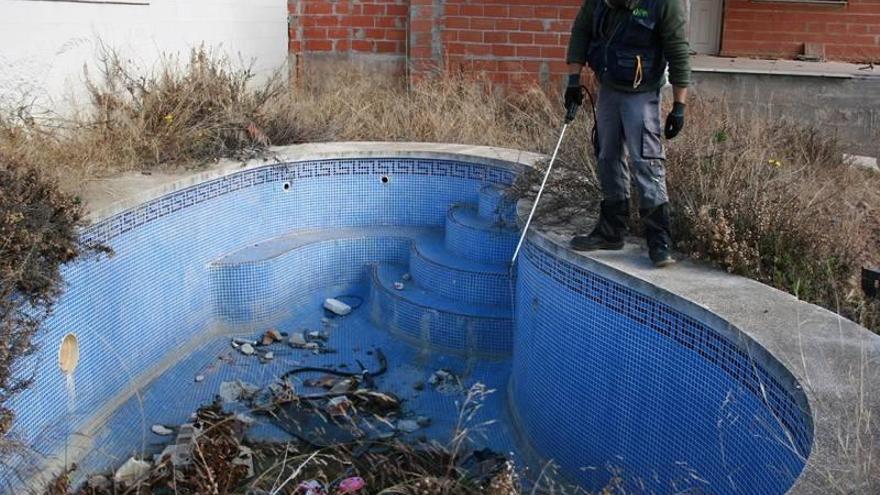 El pleno de Almassora debate el lunes la primera ordenanza contra mosquitos